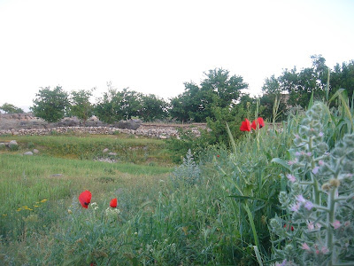 تاکستان .قلعهءبایذید